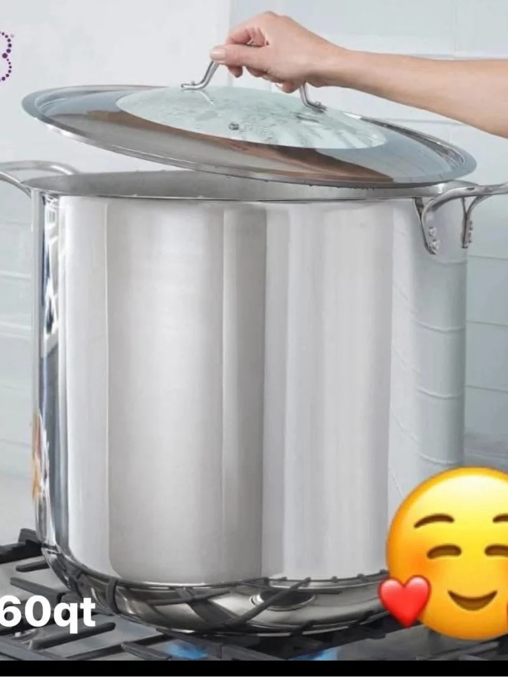 Stainless Steel 60-Quart Stock Pot with Glass Lid - Silver